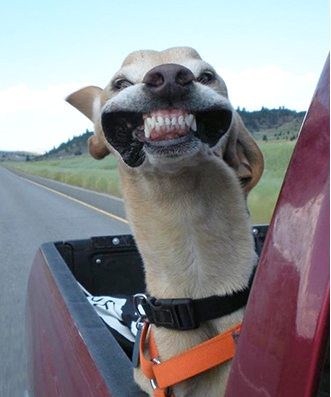 Esther Jacobs – the NO EXCUSES LADY: speaker, author, book writing coach, digital nomad