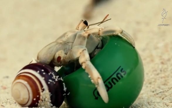 Esther Jacobs – the NO EXCUSES LADY: speaker, author, book writing coach, digital nomad