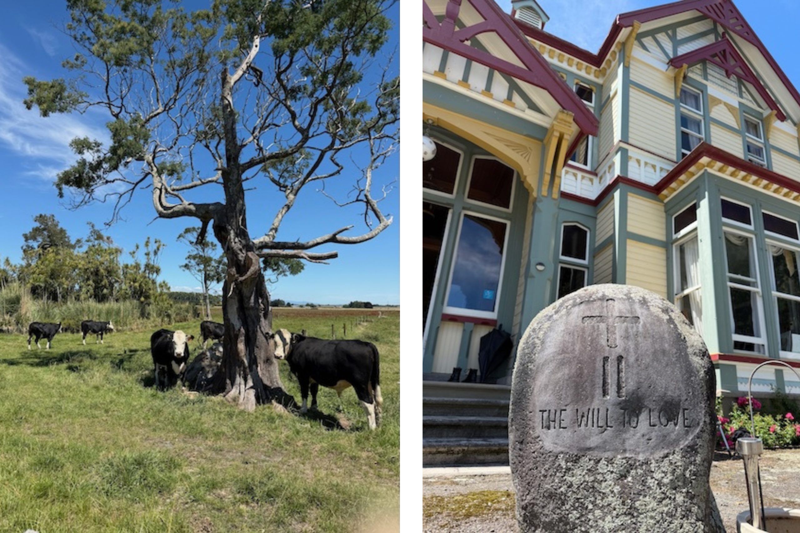 van overleven-newsletter feb2026