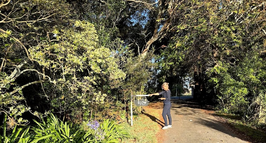 header, please crop bottom