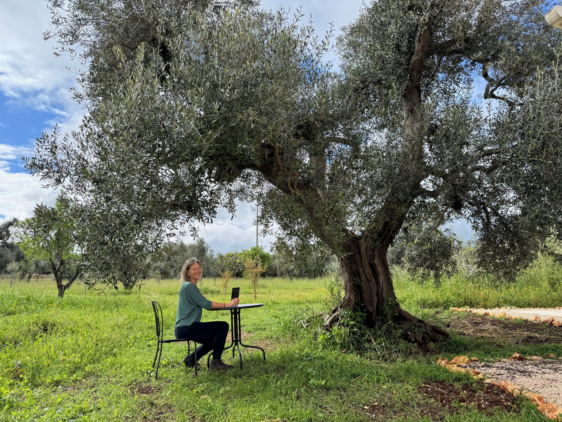 Een rustige schrijfplek tussen eeuwenoude olijfbomen in Puglia.