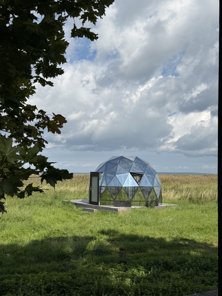 The Surrender Experiment – dome A mirrored dome surrounded by grass on the island