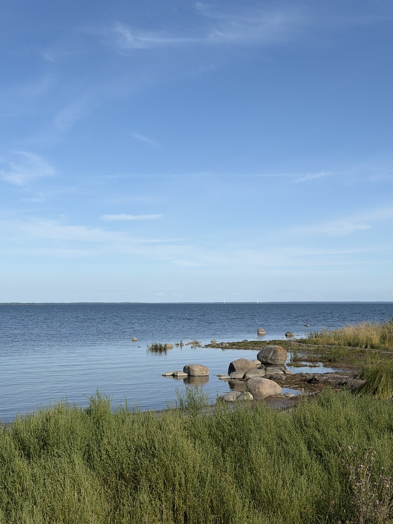 The Surrender Experiment – shore Quiet Baltic Sea shoreline on the private island